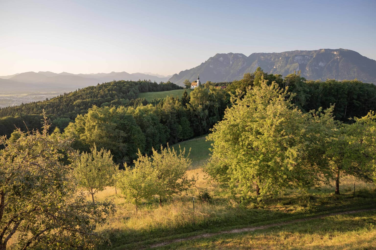 Sanfte Hügel und Wiesen mit Bäumen, weiße Kapelle auf einem Hügel und Berge im warmen Abendlicht.