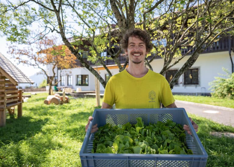 Lächelnder Mann hält eine graue Kunststoffkiste voller frisch geernteter grüner Salatblätter.