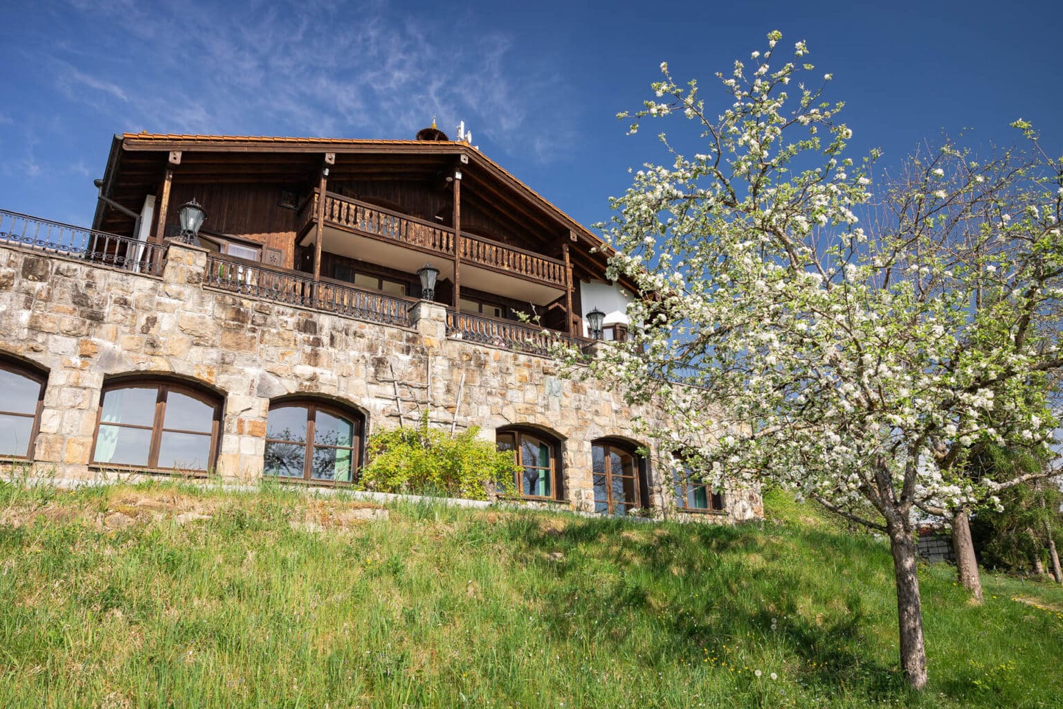 Chalet mit steinernem Erdgeschoss und Holzbalkon über einem Hang, davor blühender Obstbaum und grüne Wiese.